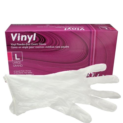 Vinyl LatexFree Gloves (Powder Free) Large (100/Box)
